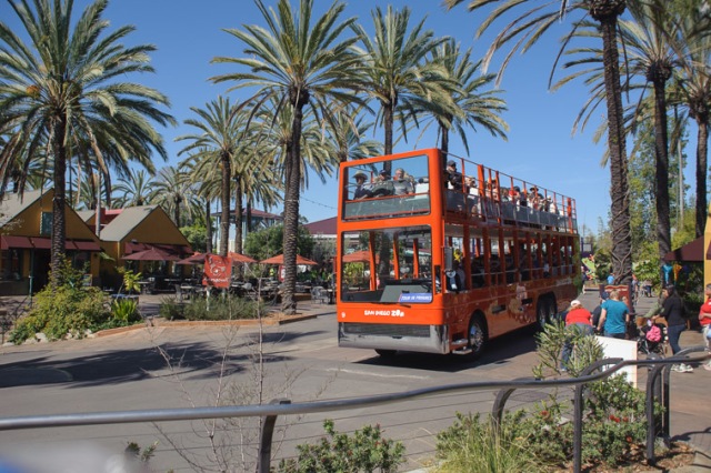 San Diego Zoo – Review – Everything you need to know about zoos and